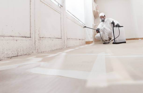 24/7 Emergency Mold Remediation experts in Roanoke, VA