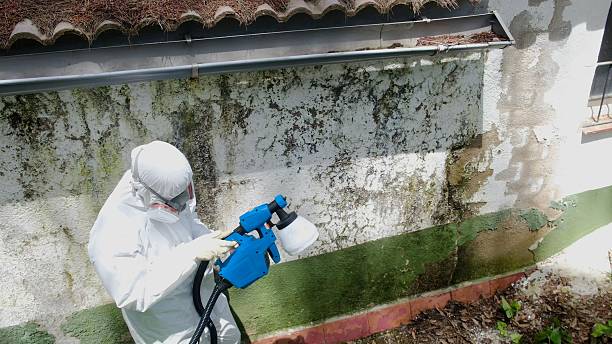 Top rated local Mold Remediation specialists in Roanoke, VA